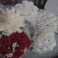 بله برون|کلکسیون و سرگرمی|کرمان, |دیوار