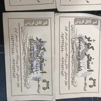 بلیط تخفیف استخر