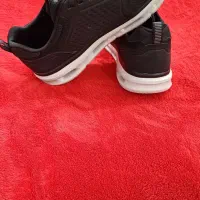 کتونی اسکیچرز اصل از آلمان آوردن