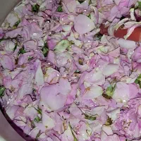 عرقیات خانگی تمیز و اصل بدون اسانس،و کاملا خانگی