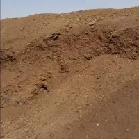 کود کود کود