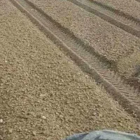 سنگ جمع کن