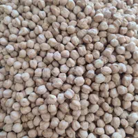 پخش عمده انواع نخود