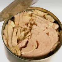 شرکت مواد غذایی (تن ماهی)
