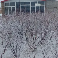 سوله|اجارهٔ مغازه و غرفه|دشتابی, |دیوار