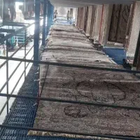 قالیشویی درخشان در اهواز با 35٪ تخفیف|خدمات نظافت|اهواز, اسلام آباد شرقی|دیوار