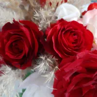 گل رز  طبیعی دسته حدود ۱۷ شاخه کلا ۲۰۰