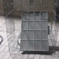 قفس پرنده  2عدد  در دره شهر