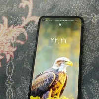 A11