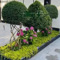 مغازه حصارک پایین