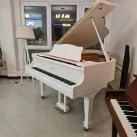 سمیک کره‌ای