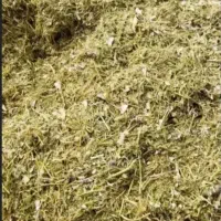 کاه لوبیا چیتی نرم وکاه گندم
