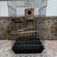 قفس|لوازم جانبی حیوانات|تهران, کیانشهر|دیوار