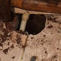 نشت یابی با دستگاه تصویری 100٪ تضمینی|خدمات پیشه و مهارت|رشت, بازار|دیوار