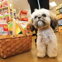 ارزانکده حیوانات