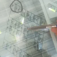 25متری تجاری کوی نور