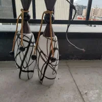 دو عدد لوستر|لوستر و چراغ آویز|اصفهان, بهارستان|دیوار