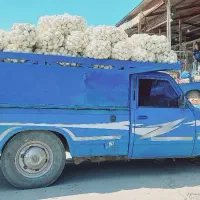 نیسان دوگانه سوز|خودرو سواری و وانت|گرگان, |دیوار