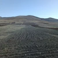 فروش سیم کارت دائمی رند