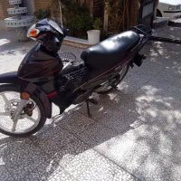 بیکلاج زرشکی قیمت پایین