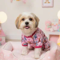 پخش ملزومات حیوانات