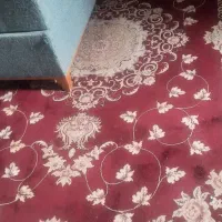 پشتی،قالی،قالیچه|پشتی|مشهد, فاطمیه|دیوار