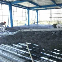 سقف بتنی متال دک(عرشه فولادی)|خدمات پیشه و مهارت|مشهد, راهنمایی|دیوار