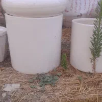 گلدان سفال سرامیکی خاک کود حیدری|گل و گیاه طبیعی|اسلامآباد غرب, |دیوار