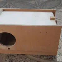 لانه عروس هلندی