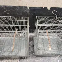 قفس|لوازم جانبی حیوانات|کرج, فاز ۱ مهرشهر|دیوار