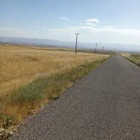 زمین باغی1800مترلب جاده معامله میکنم|فروش زمین و ملک کلنگی|قره پشتلو, |دیوار