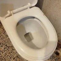 توالت فرنگی سالم و تمیز|لوازم سرویس بهداشتی|بروجرد, |دیوار