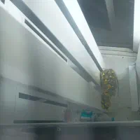 یخچال ویترینی|فروشگاه و مغازه|نجف‌آباد, امیرآباد|دیوار