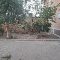 210 متر جنوبی زمین