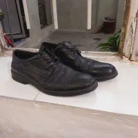 کفش مجلسی
