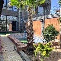 ویلا خاص۴۰۰ زمین۴۰۰ بناتریبلکس تکرارنشدنی*مهراباد*|فروش خانه و ویلا|رودهن, |دیوار