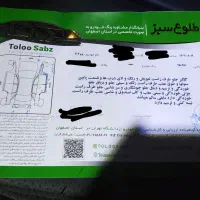 ۲۰۷ فرانسوی|خودرو سواری و وانت|اصفهان, دستگرده|دیوار