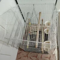 فروش قفس|لوازم جانبی حیوانات|قم, شهر قائم|دیوار