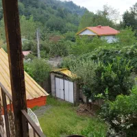 زمین باغی کزبر