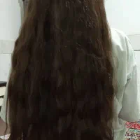 مو های شما دوستان|فعالیت داوطلبانه تحقیقاتی|قزوین, |دیوار