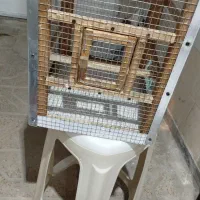 کار دست کاملا نو