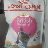 تهران پت فود