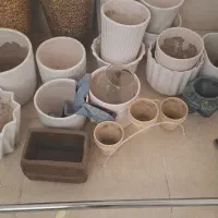 گلدان سرامبکی|گل و گیاه طبیعی|قم, امامزاده ابراهیم|دیوار