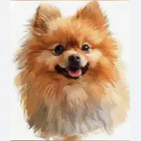 نگهداری از پت