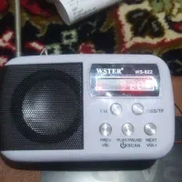 اسپیکر رادیو فلش خور