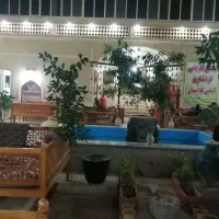 میزبانی جشن تولد