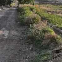 زمین کشاورزی در روستای جنت آباد باکاربری باغ|فروش زمین و ملک کلنگی|قنوات, |دیوار