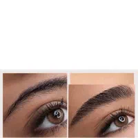 مدل میکروبلیدینگ ابرو/ شیدینگ لب / بن مژه