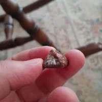 سنگ زیبا|کلکسیون اشیاء عتیقه|قم, باغ کرباسی|دیوار