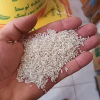 برنج سرلاشه هاشمی